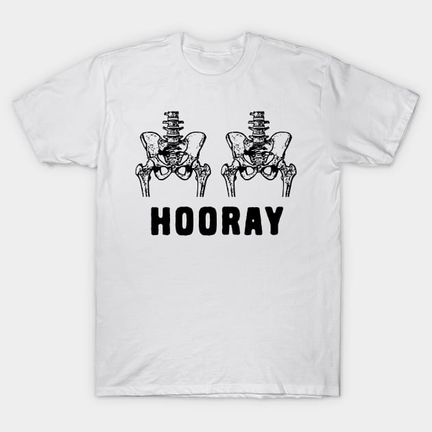 Hip Hip Hooray T-Shirt by Shirts That Bangs